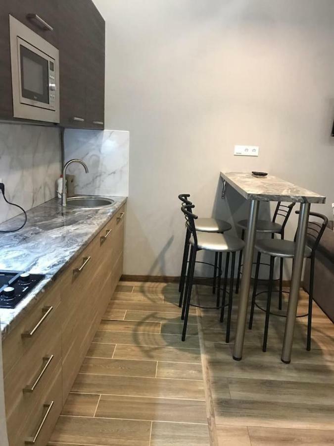 New Appartment-Studio Іn The Center Of Lviv Kültér fotó