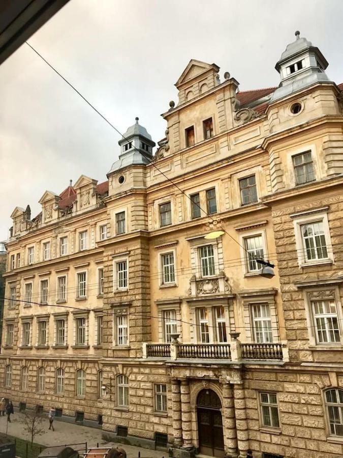 New Appartment-Studio Іn The Center Of Lviv Kültér fotó